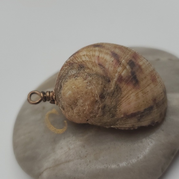 Pirates treasure authentic conch seashell shell‎ necklace pendant - Picture 2 of 3